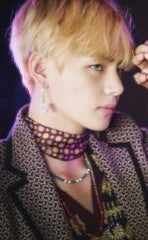 Taehyung Silver Leaf Tassel Earrings